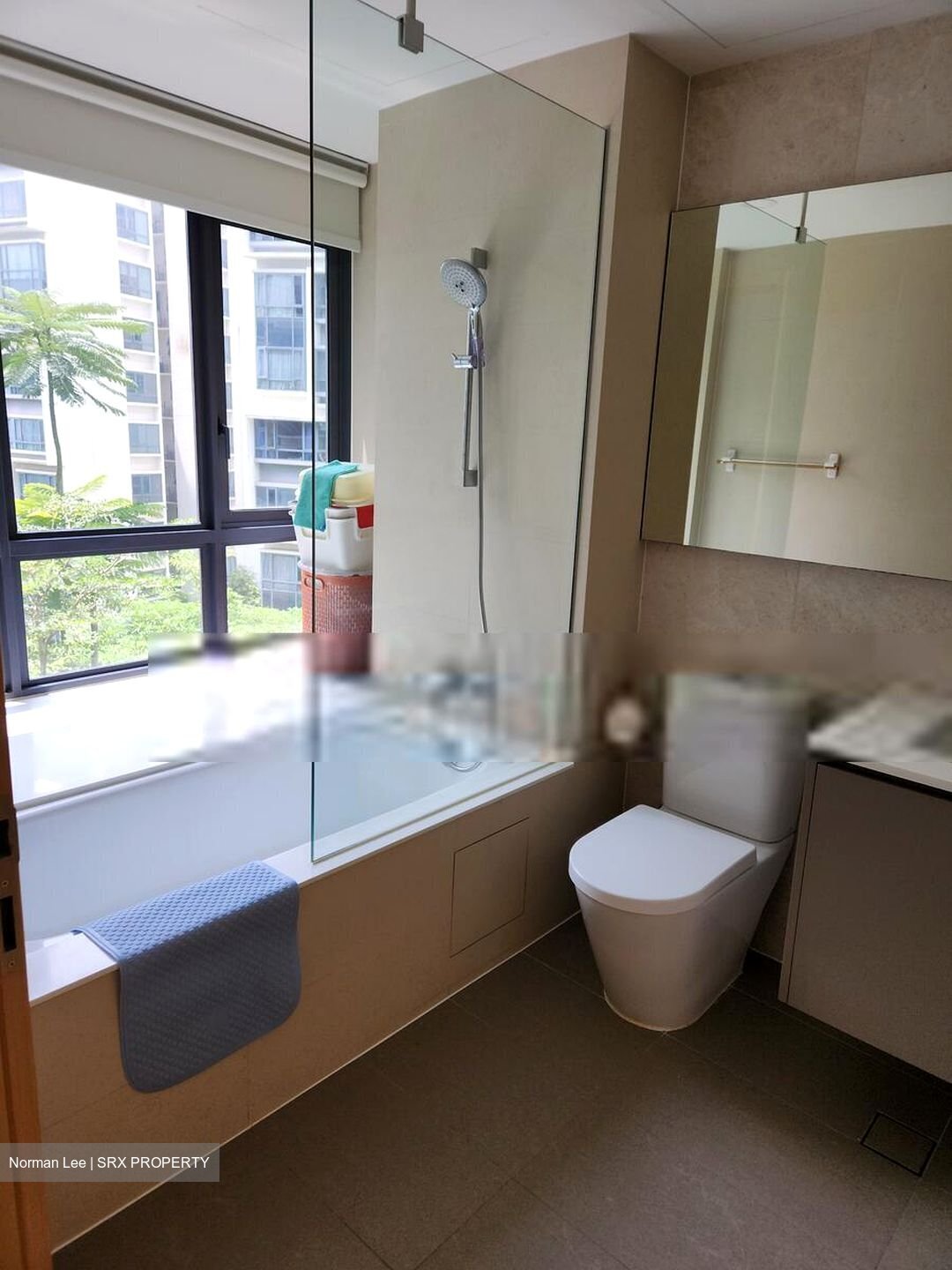 NV Residences (D18), Condominium #456713661
